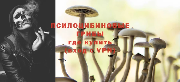 прущий лед Лагань