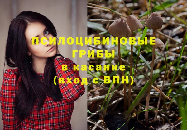 СК Ладушкин
