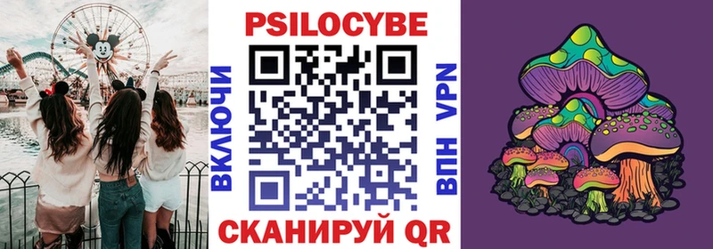 наркошоп  Спас-Клепики  Галлюциногенные грибы Cubensis 